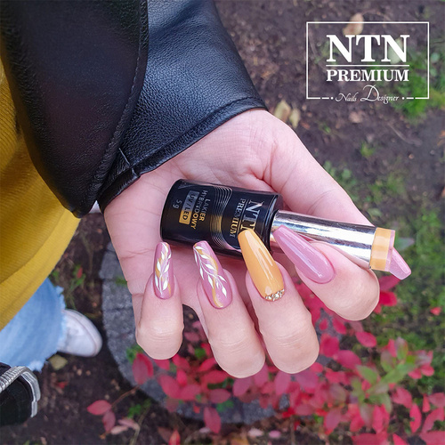 Lakier hybrydowy NTN Premium Seductive Collection 5g Nr 129
