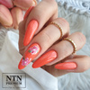 Lakier hybrydowy Ntn Premium Ambrosia Collection 5g Nr 162