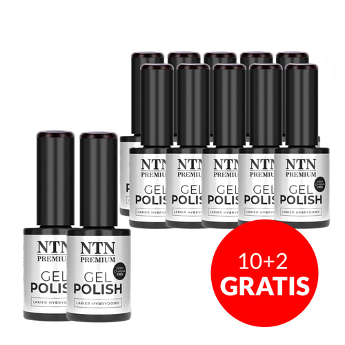 10+2 gratis Smalto ibrido LED/UV Gel Polish NTN Premium Limited Edition n. 326 senza HEMA/Di-HEMA 5 g