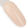 Lakier hybrydowy NTN Premium Day Dreaming Collection 5G NR 61