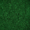 Pyłek lustrzany efekt do zdobień paznokci MollyLac Glass Effect Green Nr 9
