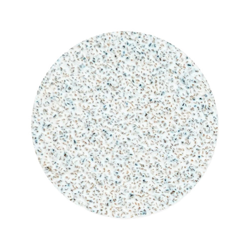 Disques abrasifs interchangeables, grain 320, pour PODODISC Staleks Expert, taille M, 20 mm, 50 pièces