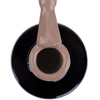 Lakier hybrydowy LED/UV Gel Polish Browns Nr 523 Limited Edition NTN Premium HEMA/Di-HEMA Free 5g
