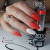 Lakier hybrydowy NTN Premium Splash Collection 5g Nr 126
