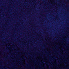 Poudre pour ongles Chameleon premium Allepaznokcie cobalt 0,5 g N° 5