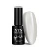 Lakier hybrydowy Ntn Premium Impression 5g Nr 260