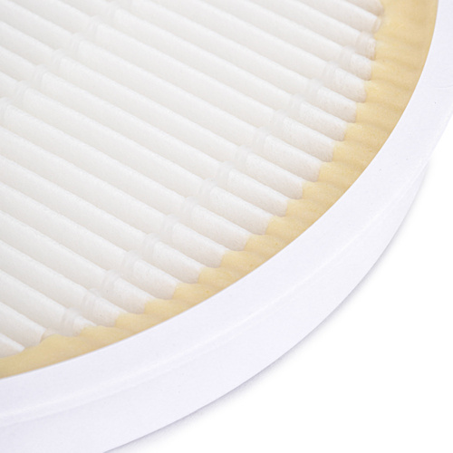 Filter for cassette absorber 858-6