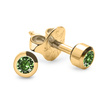 Kolczyki Studex Plus peridot w oprawie pełnej złote(r)