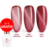5+1 безкоштовно Гібридний лак LED/UV Gel Polish Cat Eye Crystal Water № 166 MollyNails без HEMA/Di-HEMA 8 г