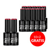 10+2gratis Lakier hybrydowy NTN Premium Springtime selfie HEMA/Di-HEMA Free 5g Nr 281