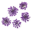 Fiori secchi per decorazioni per unghie MollyLac Purple, 5 pezzi