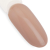 Lakier hybrydowy LED/UV Gel Polish NTN Premium Topless Collection Nr 14 HEMA/Di-HEMA Free 5g