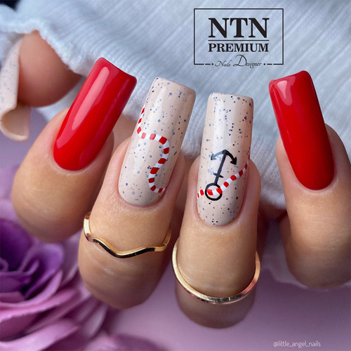 10+2gratis Lakier hybrydowy NTN Premium Show Collection HEMA/Di-HEMA Free 5g Nr 115