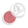 Glitter per unghie in barattolo n. 119 2 g