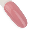 10+2gratis Lakier hybrydowy NTN Premium Day Dreaming Collection HEMA/Di-HEMA Free 5g Nr 58