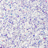 Płatki do paznokci Aurora Flakes 5g Nr 2