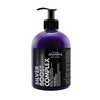 Shampoo ravvivante per capelli colorati Joanna Silver Boost Complex 500 g