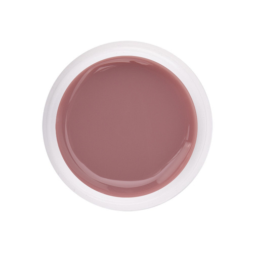Gel pour ongles NTN Premium Gel Cover 15 g