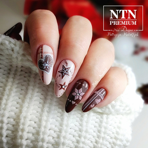 10+2gratis Lakier hybrydowy NTN Premium Show Collection HEMA/Di-HEMA Free 5g Nr 112