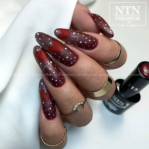 Lakier hybrydowy NTN Premium Show Collection HEMA/Di-HEMA Free 5 g Nr 113