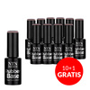 10+1gratis Baza średnio elastyczna kauczukowa Rubber Base Business Line NTN Premium 5g Nr 6