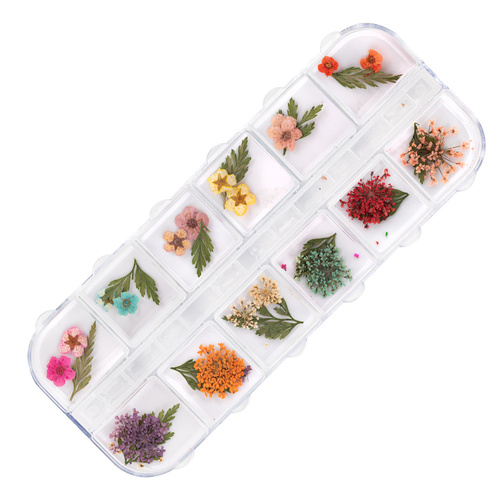 Fleurs séchées pour la décoration des ongles, en coffret Molly Nails, type E, 36 pièces