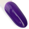Lakier hybrydowy Ntn Premium Oriental Delice 5g Nr 264