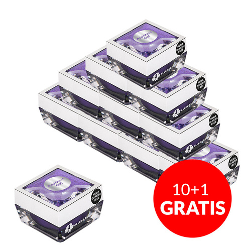 10 + 1 gratis Allepaznokcie Architect Gel (HEMA/Di-HEMA-frei) 30 g