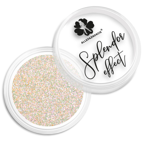 Poudre pour ongles Splendor Allepaznokcie, pot de 2 g, n° 6