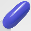 10+2gratis Lakier hybrydowy LED/UV Gel Polish NTN Premium Limited Edition Nr 418 HEMA/Di-HEMA Free 5g