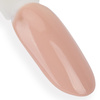 Lakier hybrydowy NTN Premium Splash Collection HEMA/Di-HEMA Free 5g Nr 120