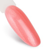Esmalte híbrido Ntn Premium Impression 5 g n.º 258