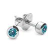 Studex Plus Aquamarine Earrings in Solid Silver Settings (r)