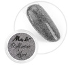 MollyLac Nagellackpulver „Reflective Effect“ 1 g Nr. 2