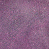 Poudre pour ongles Thermo Flash Effect MollyLac 0,5 g n° 4