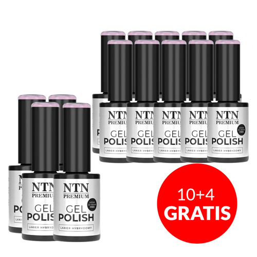 10 + 4 gratuits - Vernis hybride LED/UV Gel Polish Purples n° 547 Édition limitée NTN Premium sans HEMA/Di-HEMA 5 g
