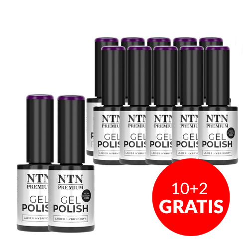 10 + 2 gratuits Vernis hybride NTN Premium Viral colors sans HEMA/Di-HEMA 5 g n° 294