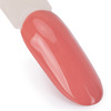 10+1 БЕЗКОШТОВНО Гібридний лак AlleLac Business Woman без HEMA/Di-HEMA, 5 г, № 198