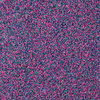 Nagelpulver Candy Dream 5 g Nr. 10