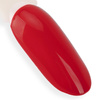 10+2gratis Lakier hybrydowy NTN Premium Show Collection HEMA/Di-HEMA Free 5g Nr 115