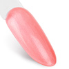 Esmalte híbrido Ntn Premium Impression 5 g n.º 258