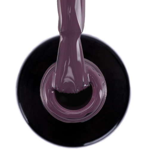 Гібридний лак NTN Premium Seductive Collection 5 г № 134