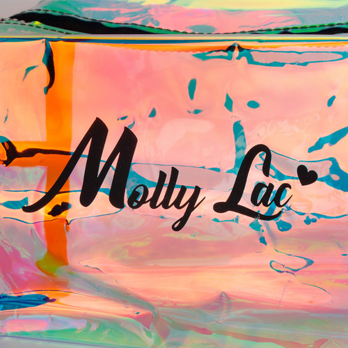 Estuche de cosméticos y material escolar holográfico transparente MollyLac, 1 unidad