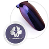 Poudre pour ongles Effet œil de paon Allepaznokcie 0,3 g N° 05