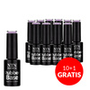 10+1gratis Baza średnio elastyczna kauczukowa Rubber Base Business Line NTN Premium 5g Nr 1
