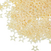 Ozdoba do paznokci Stars Nr 2 2 g