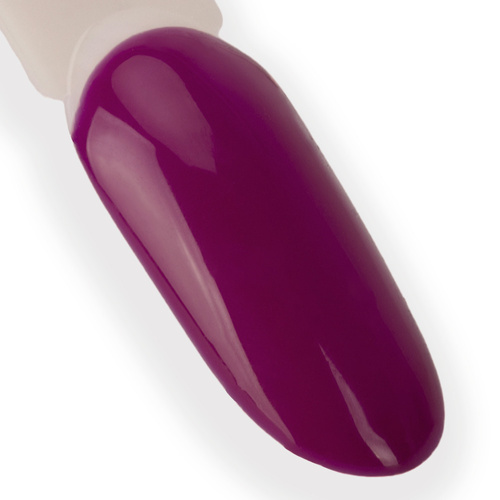 10+2 gratis Smalto ibrido LED/UV Gel Polish NTN Premium Seductive Collection n. 131 senza HEMA/Di-HEMA 5 g