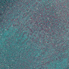 Pyłek do paznokci Thermo Flash Effect MollyLac 0,5 g Nr 3