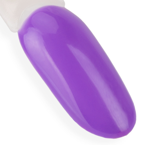 10+2gratis Lakier hybrydowy LED/UV Gel Polish NTN Premium Garden Party Collection Nr 173 HEMA/Di-HEMA Free 5g