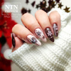 10+2gratis Lakier hybrydowy NTN Premium Show Collection HEMA/Di-HEMA Free 5g Nr 112